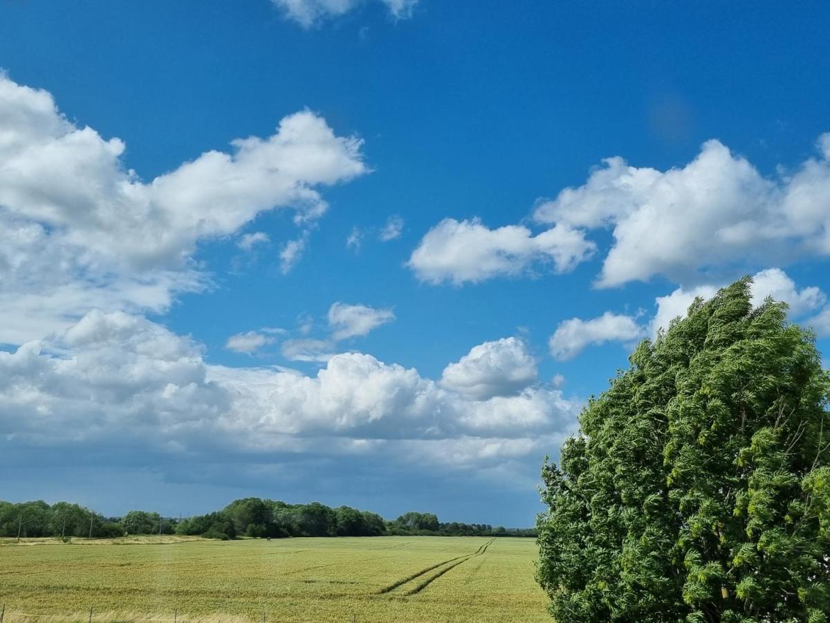 Scheune In Ostseenaehe Auch Mit Pferd Ducherow Exteriér fotografie